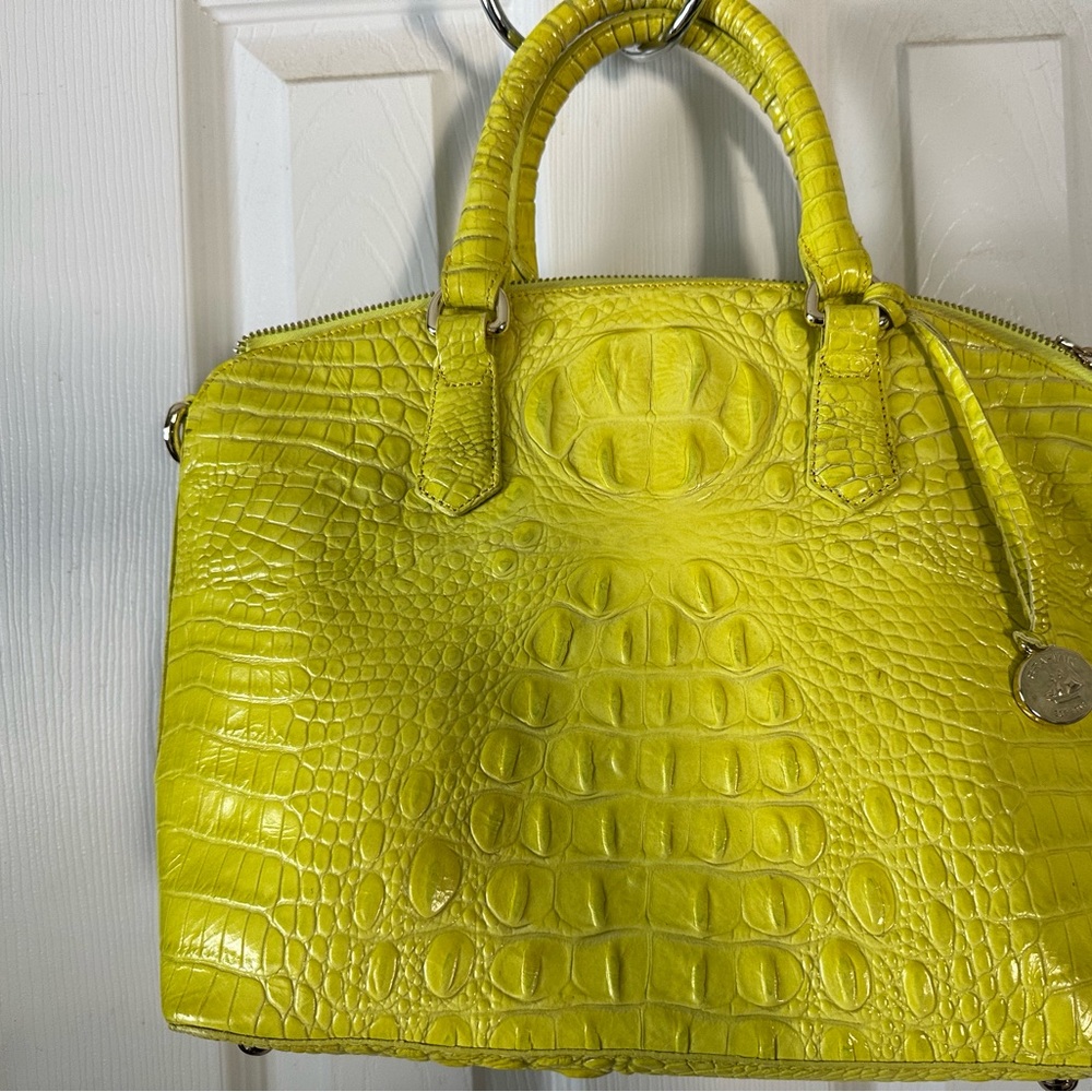 Brahmin handbag